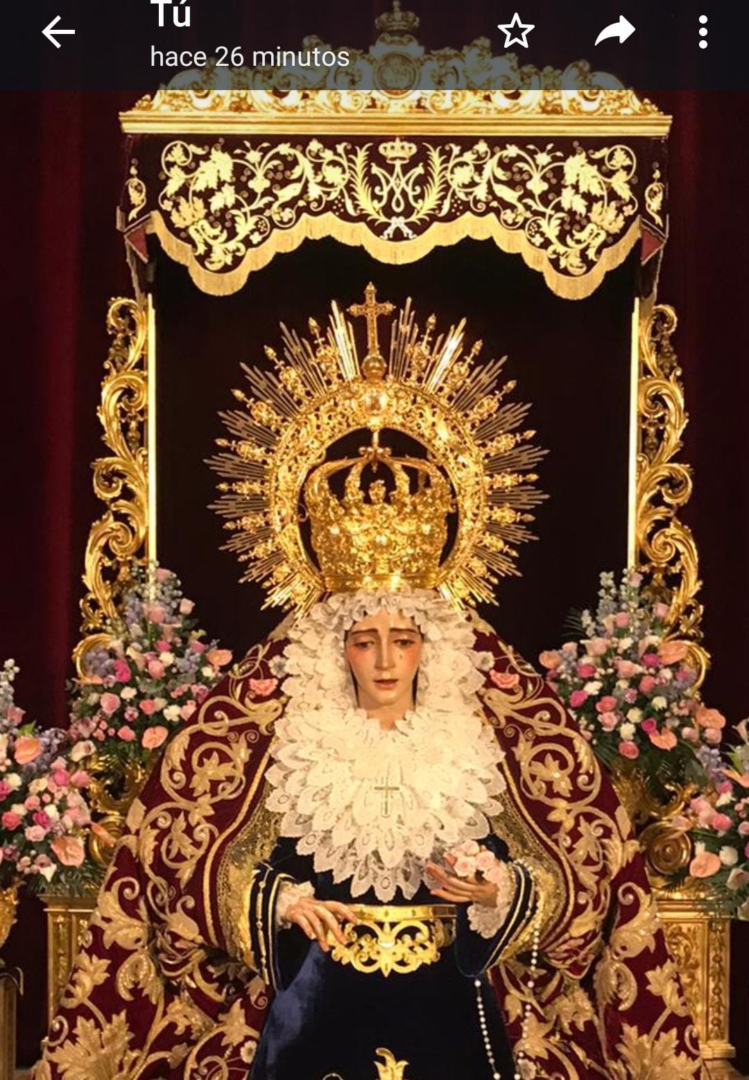 WhatsApp Image 2021-11-14 at 23.15.30