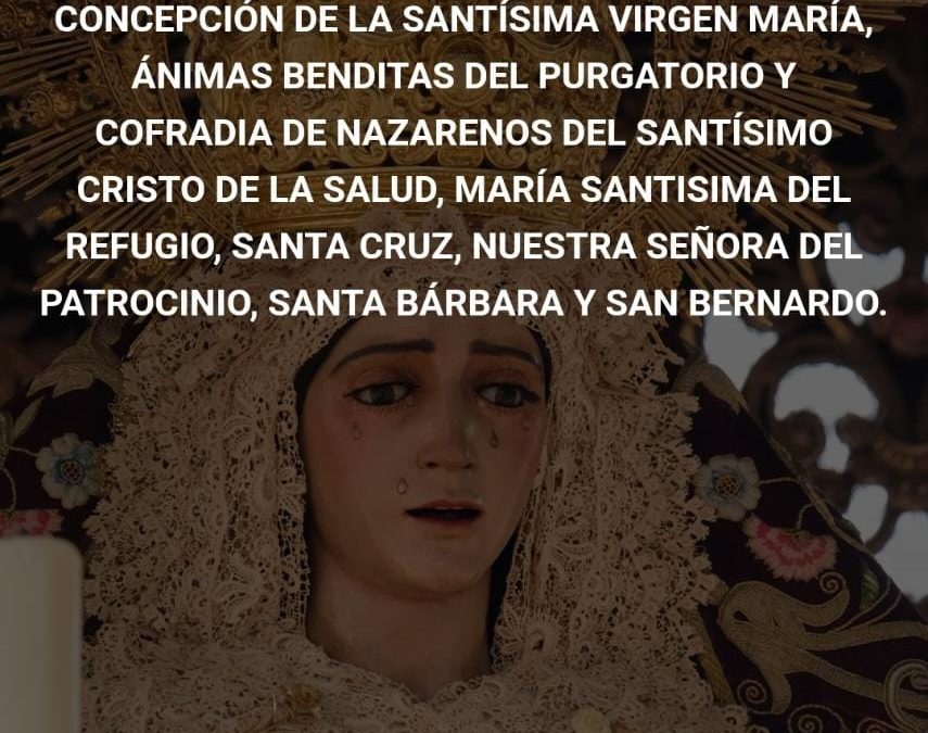 Nueva App de la Hermandad, “Reparto Online” y “Reparto Presencial”