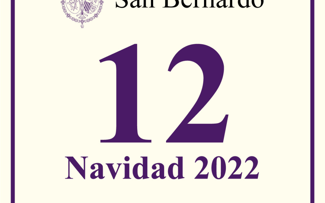 Hoja Informativa nº 12 Navidad 2022
