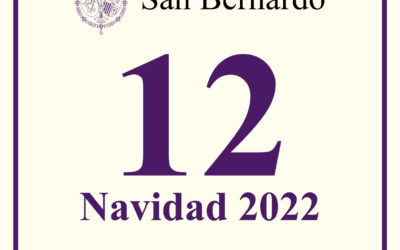 Hoja Informativa nº 12 Navidad 2022